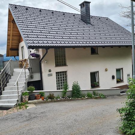 Apartment With View Zirovnica Екстериор снимка